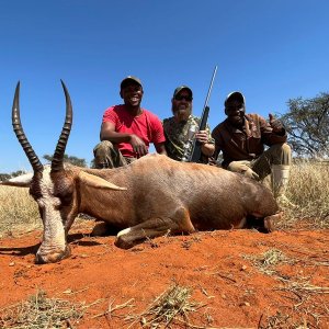 Blesbok Hunt Limpopo South Africa