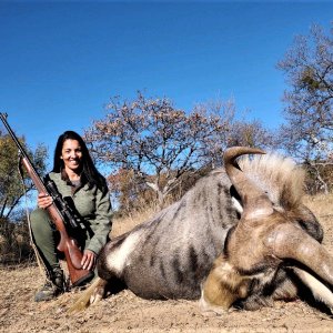 Kings Wildebeest Hunt South Africa