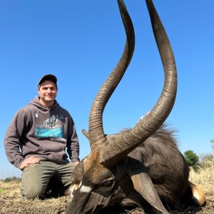 Nyala hunt South Africa