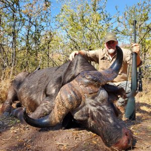 Old Buffalo Bull Hunt Zimbabwe