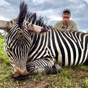 Zebra Hunt Uganda