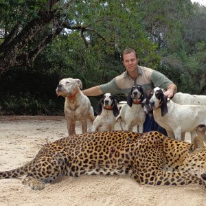 Xosha Bushveld Hounds Leopard Hunt Mozambique