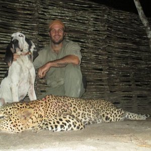 Leopard Hunt With Hounds Mozambique