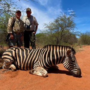 Zebra Hunting South Africa