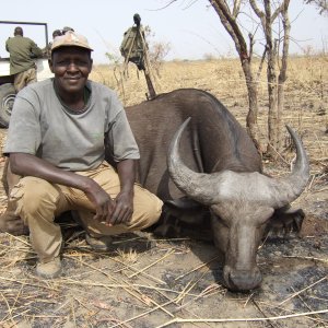 West African Savannah Buffalo Hunt