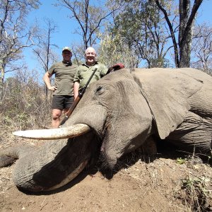 Elephant Hunting South Africa