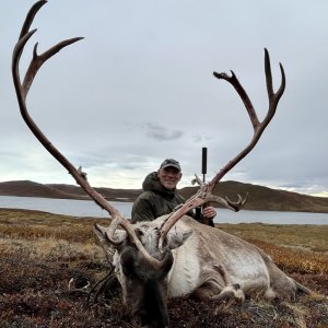 Caribou Hunt Greenland