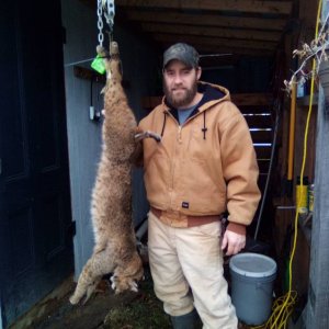 Bobcat Hunt Pennsylvania