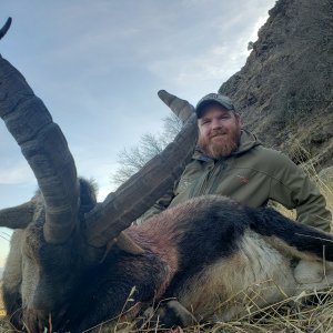 Ibex Hunting Spain