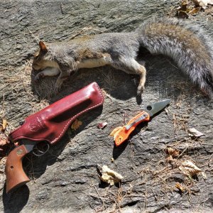 Squirrel Handgun Hunt