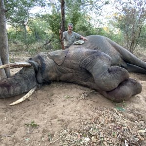 Elephant Hunt Matetsi Zimbabwe