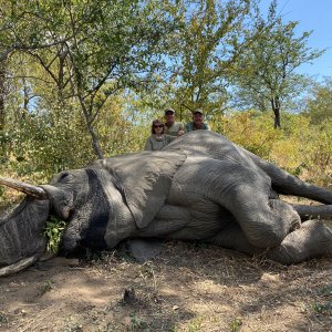 Elephant Hunt Matetsi Zimbabwe