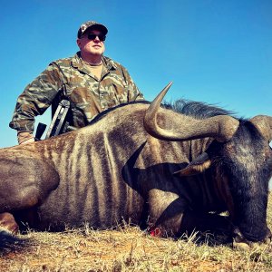 Blue Wildebeest Crossbow Hunt South Africa
