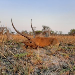 Kafue Lechwe Hunting Zambia