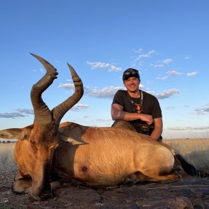 Hartebeest Hunt South Africa