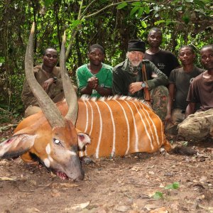 Bongo Hunting Cameroon