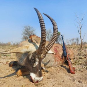 Roan Hunting Bwabwata West Namibia
