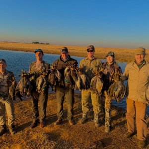 Waterfowl and Game shooting South Africa