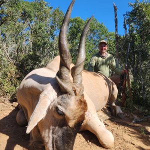Eland Black Hunt South Africa