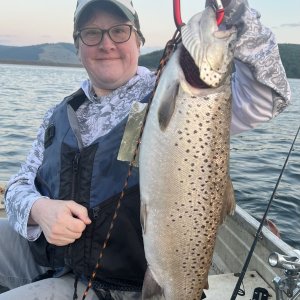 Brown Trout from Pepacton Reservoir in NY