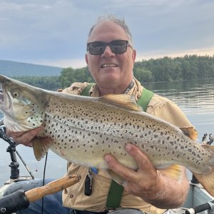 Brown Trout from Ashokan Reservoir in NY
