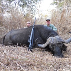 Buffalo Hunting Mozambique