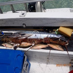 Fishing Baracuda & Lobster Caribbean