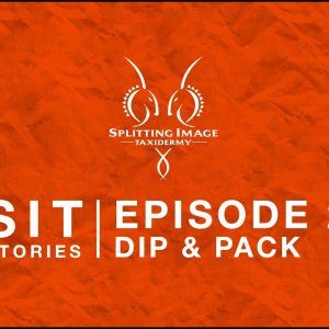 Episode: 2 Dip & Pack Splitting Image Taxidermy