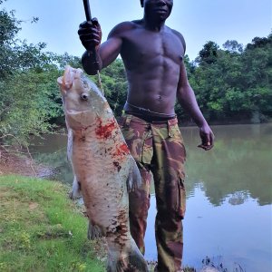 Fishing Yellowfish Central African Republic
