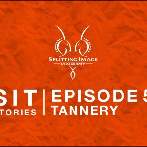 Episode 5 - Tannery
