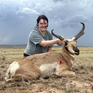 Pronghorn Hunt Mexico