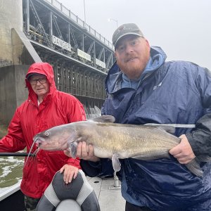 Fishing Catfish Canada