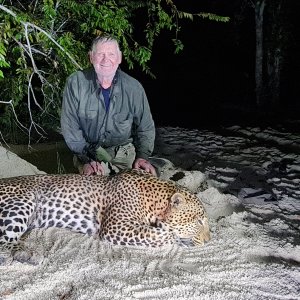 Leopard Hunt Coastal Forests Of Mozambique