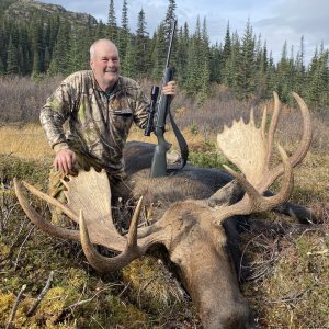 Moose Hunting Canada