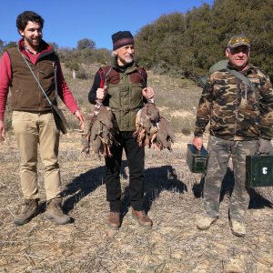 Red-Legged Partridge Hunt Spain