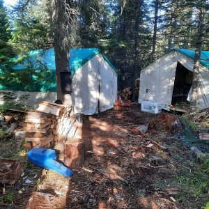 Elk Camp 2023