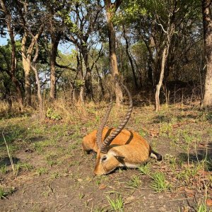 Lechwe Hunt Takeri Private Reserve Zambia
