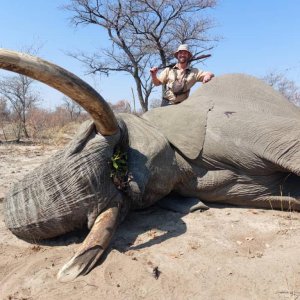 Elephant Hunt Bwabwata West Namibia