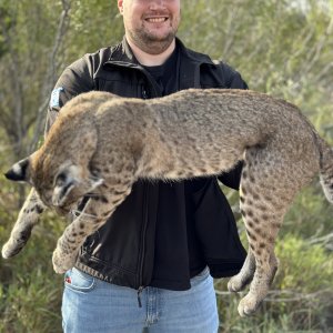 Texas Bobcat Hunt