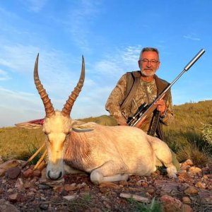 White Blesbok Hunting Eastern Cape South Africa