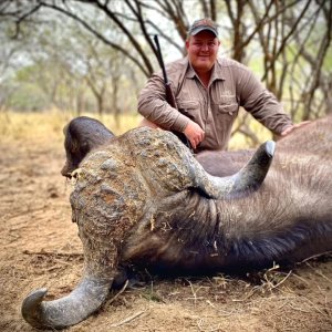 Cape Buffalo Hunt South Africa