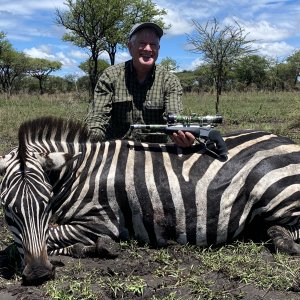 Grant’s Zebra Stallion Hunt Tanzania