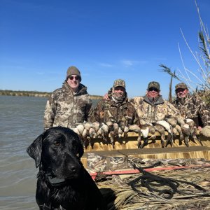 Duck Hunting Texas