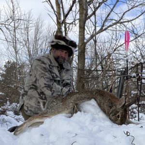 Hunting Rabbit Michigan