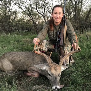 Whitetail Deer Hunt West Texas