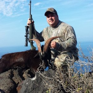 Hunting Goat Big Island Hawaii