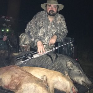 Hog Hunting Alabama