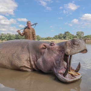 Hippo Hunt Zambia