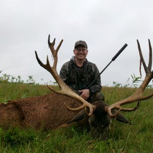 Red Deer Hunt Argentina