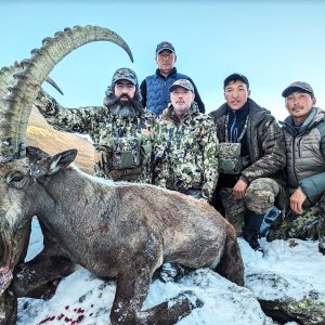 38 Inch Ibex Hunt Kazakhstan